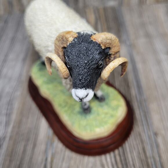 Vintage Border Fine Arts 1994 Swaledale Ram Figurine - Picture 4 of 7